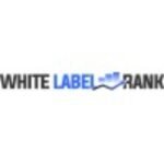 How Organic SEO Experts Help Businesses Build Long Term Search Growth
