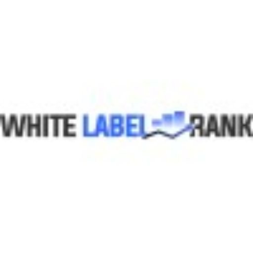 How Organic SEO Experts Help Businesses Build Long Term Search Growth